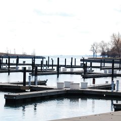 DSC_5980