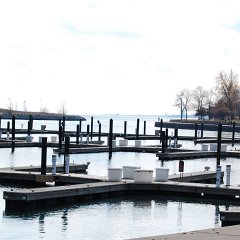 DSC_5981