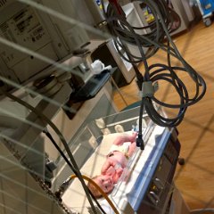 IMG 20180322 180752417 HDR