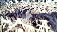 2022-02-20-15-20-46.mp4