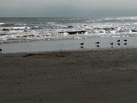 IMG 20171010 145621798 HDR