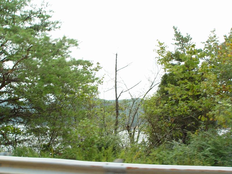 DSC03063