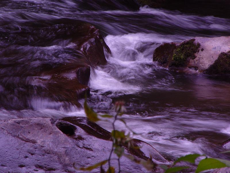 DSC03091
