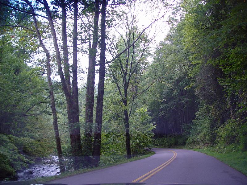 DSC03103