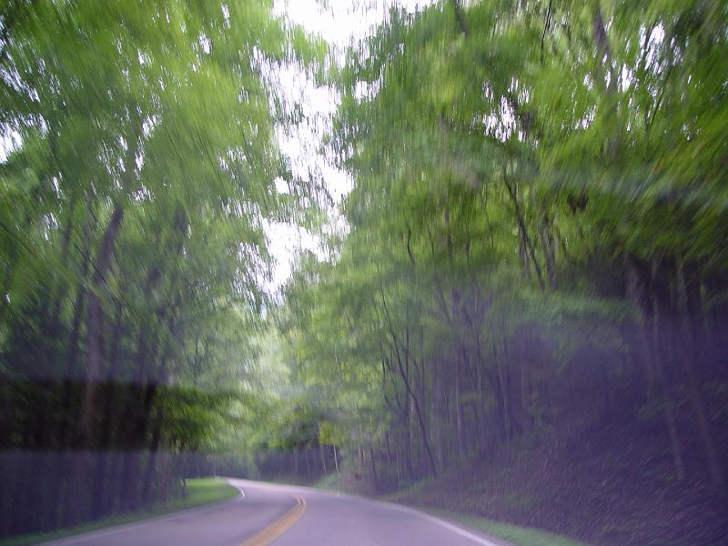 DSC03116