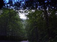 DSC03099
