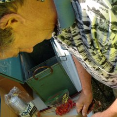 IMG_20170805_085500408