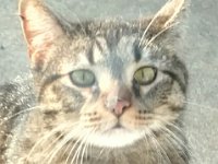 IMG 20160311 191958