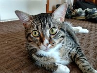 IMG 20160710 133142147 HDR