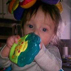 IMAG0454