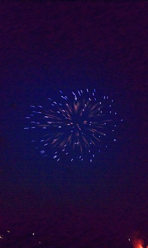 IMAG0882
