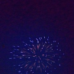 IMAG0882