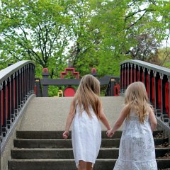 IMG_0218