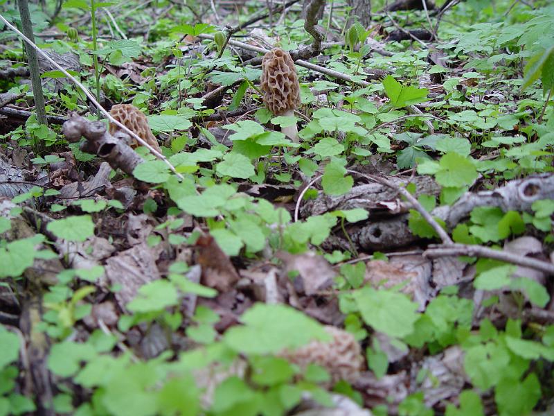 DSC04307
