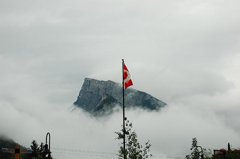 DSC_3415