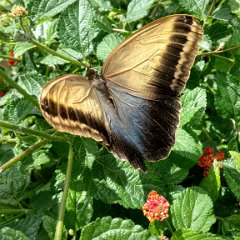 IMG 20180510 142258305 HDR