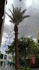 IMAG1059