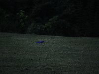 DSC 0151