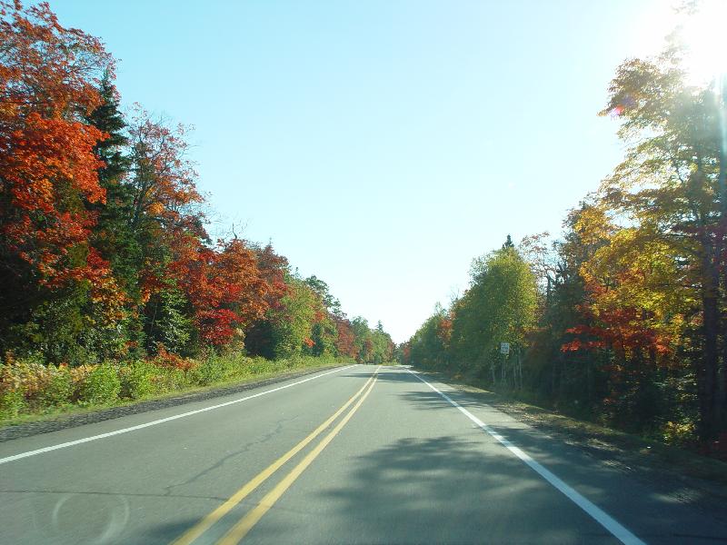 DSC08066 