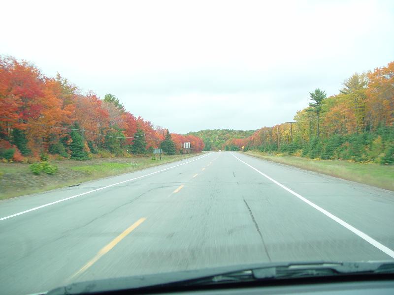 DSC08326 