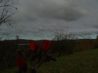DSC08399 