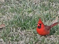 Screenshot 20260131 204352 Gallery