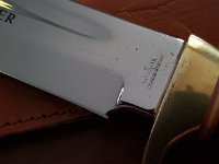 Crocodile Bowie Solingen